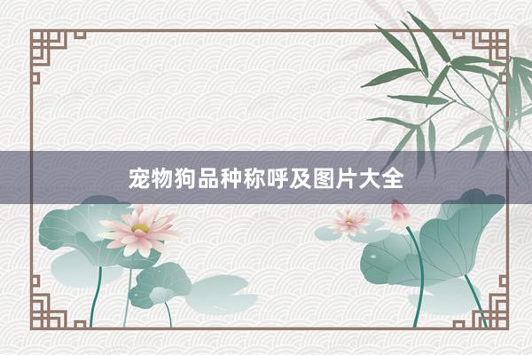 宠物狗品种称呼及图片大全